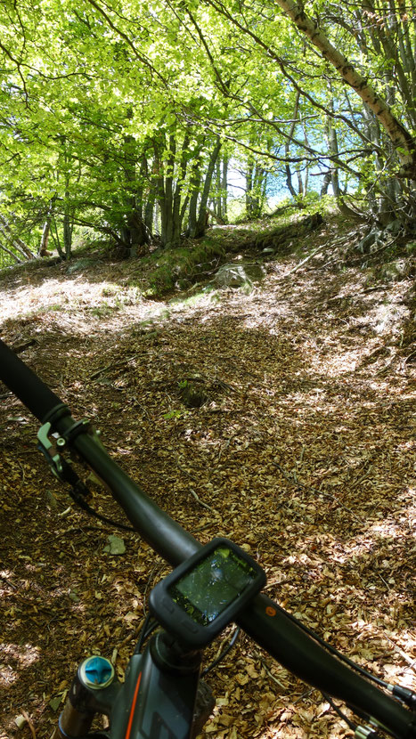"cammino dall'orrore"