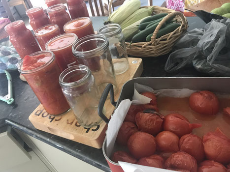 Processing our harvest - bottling tomatoes.