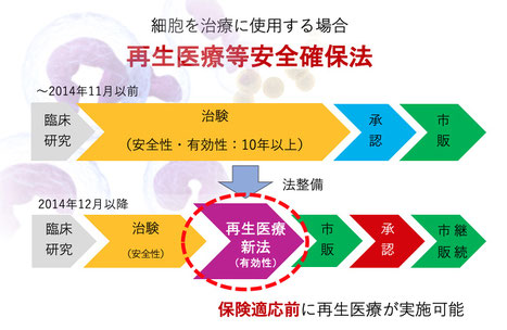 再生医療等安全確保法　再生医療 APS療法 PRP療法　名戸ヶ谷病院　整形外科