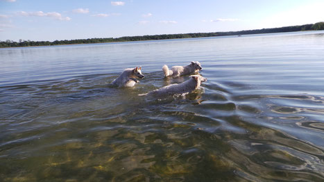 Baden im Neustädter See  .....Pia-Mae links im Bild