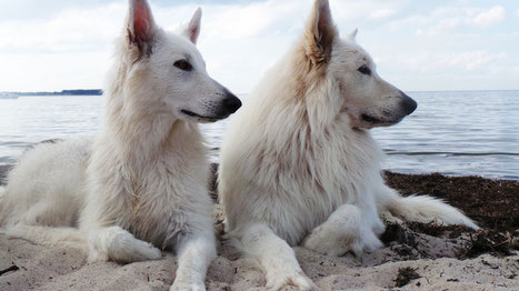 Ostsee Urlaub  Pia-Mae und Thaysen