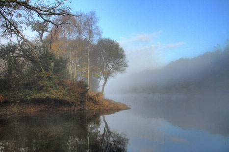 Etang sous la brume