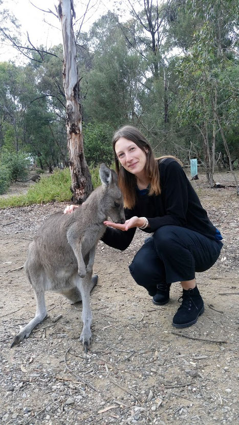 Ein Känguru-Foto wird einfach – mit ein paar Körnern in der Hand.
