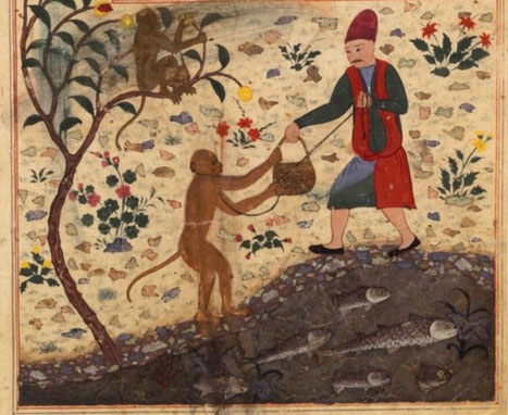 BNF Supplément persan 332, fol. 158v, Monkey harvesting fruit