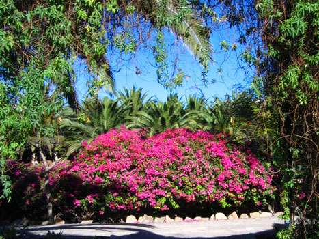 Shiatsu Massage, Meridiane, Energiebahnen, Druckpunkte, Blockaden lösen, Schmerzbefreiung, Reflexpunkte, Lymphfluss, Muskulatur lockern, Entspannung, Wohlbefinden, Auszeit, Erholung, Urlaubsgefühl, Wochenendfeeling