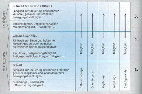 Abbildung 1: Hierarchisches Modell der koordinativen Fähigkeiten nach Hirtz, Kirchner & Pöhlmann, 1994, S.132