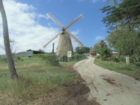 The Morgan Lewis Sugar Mill, Shorey Village