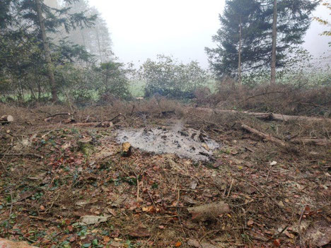 (Bild: Feuerwehr Bubikon)