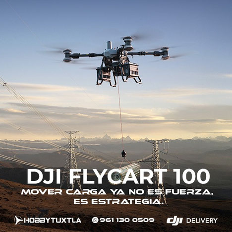 DJI FlyCart 100