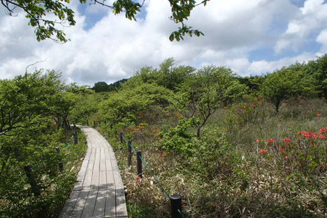 八ヶ岳　登山　募集プラン