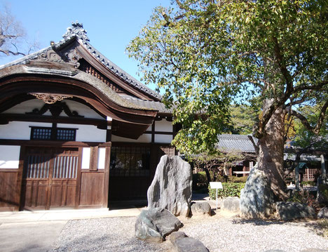 テラヨガ愛知 武雄神社 takeo jinja terayoga テラヨガ