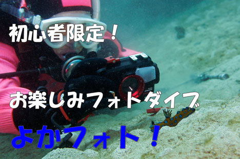 よかよかオリジナルのお得プラン！ライセンス取得後のケアも安心。５０ダイブ未満の初心者ダイバー応援企画！！２ダイブ＋フルレンタル＋カメラレンタル料込み