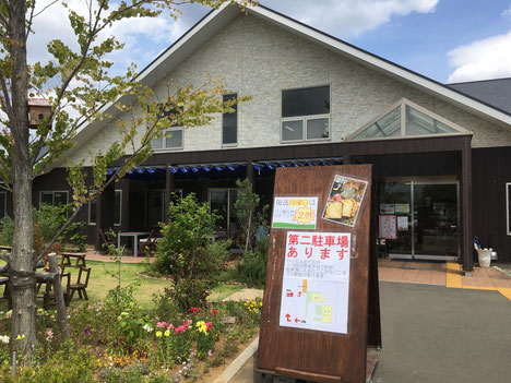 広々とした敷地に緑がたくさんあり、くつろげる雰囲気です