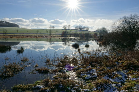 Biberteich in Wölferlingen