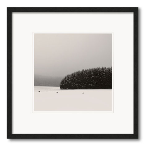 "Lake Shore" Art Print. Minimalistische Landschaft, gerahmt