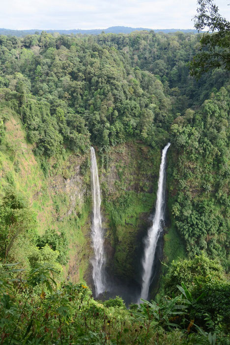 Chutes de Tad Fan