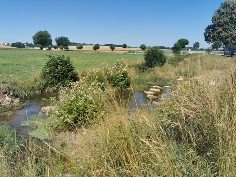 Biotoppflege ist auch im Donau-Ries wichtig LBV Donau-Ries