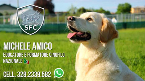 addestramento cani Bergamo
