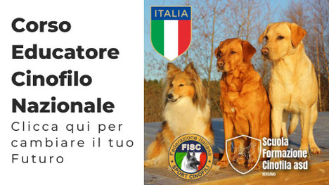 Corso educatore cinofilo Villa di Serio