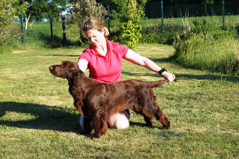 "Noble Alice vom Belauer See", 8 1/2 months, Photo: Ulf F. Baumann