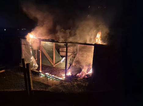 (Bild: feuerwehr-rueti.ch