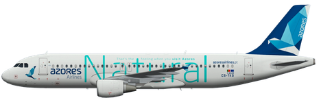 Aircraft Type: Airbus A320-200