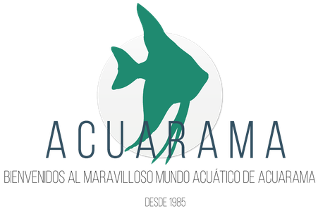 Página web de acuaramapecesvivos