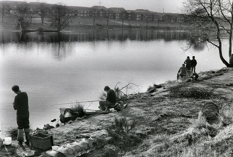 Brookvale Park in the late 1970s. Image used with the kind permission of the late Keith Berry.