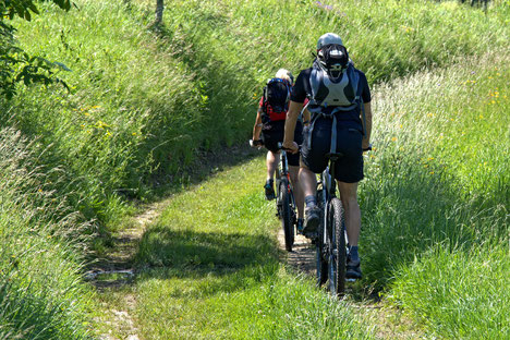 VTT dans le Limousin