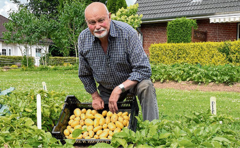 JOACHIM SCHRÖDER IN SEINER KARTOFFELZUCHT. 