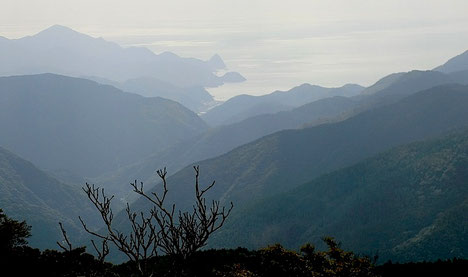 烏帽子山 遠景