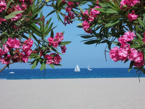 Site de location-golfes-clairs-argeles !