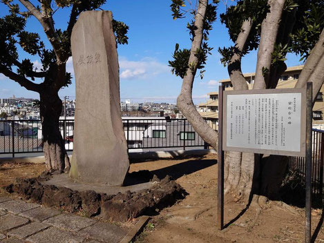 高島山公園・望欣台の碑