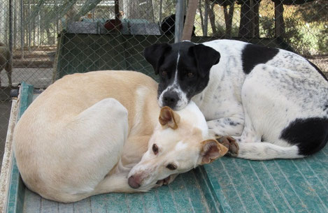 Virginia et sa fille Jana