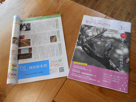 自治体広報掲載はさらに厳格（奈良市広報）