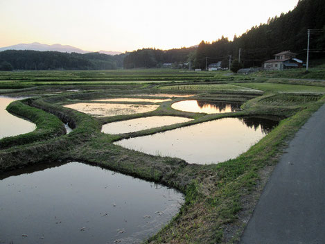 小区画水田に夕陽が映り、とても美しい景色です