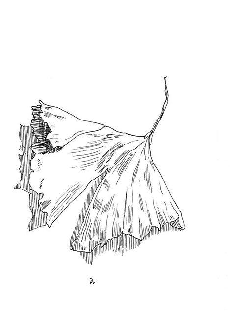 Illustration von Mock zum Thema Alter