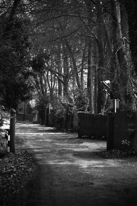 The processed shot - levels, increased high light tones, decreased mid tones and as it then was too contrasty reduced the black output by 10%. Its 'Sea Lane' the back lane that runs down to the sea at St Margarets. 