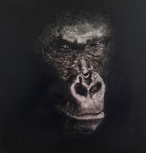 Gorille, peinture à l'huile, panneau 40x40cm, 2021