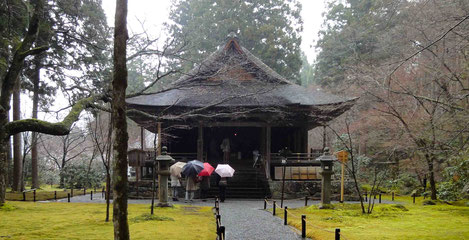 雨の往生極楽院、正面です