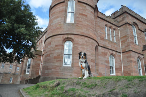 voyager avec son chien en Ecosse au chateau D'Inverness