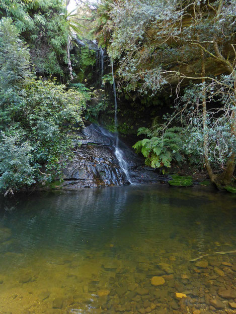Lyrebird Dell waterfall
