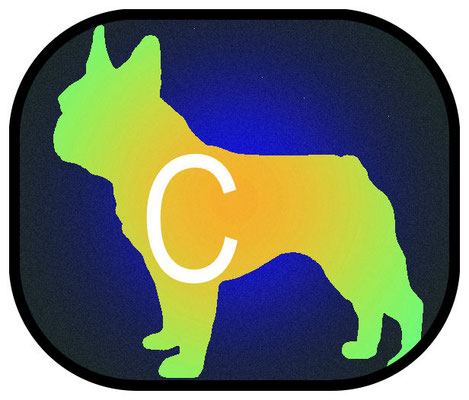 100 % handgemachtes Hundezubehör aus Biothane und Paracord