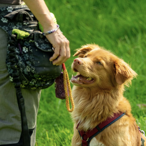 Foto: ©Corinne Keller