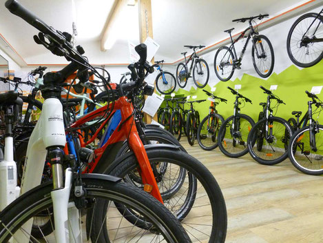 E-Bikes FLYER, E-Mountainbikes und E-Rennvelos TREK mieten im E-Bike Center Veloatelier Wimmis bei Spiez