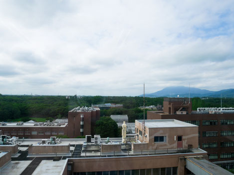 The view from Jannat's lab