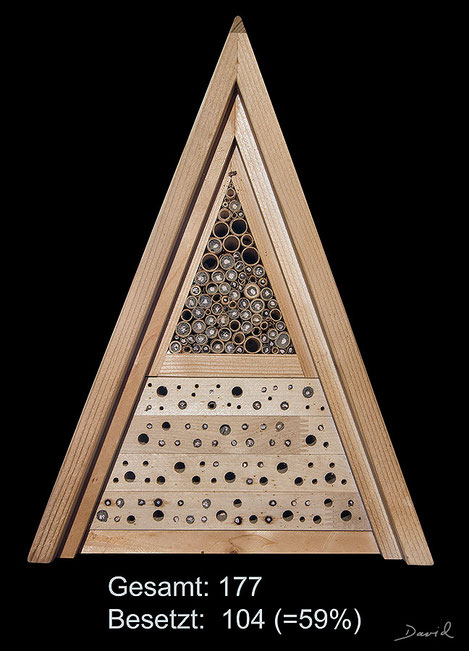 Insektenhotel Insektennisthilfe Nisthilfe Jürgen Schwandt Schilf Bohrungen im Hartholz Wildbienen wildbee insect hotel nesting aid  reed hardwood