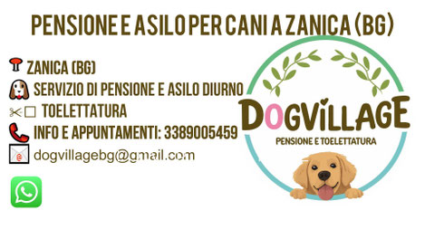 Pensione per Cani Bergamo e provincia