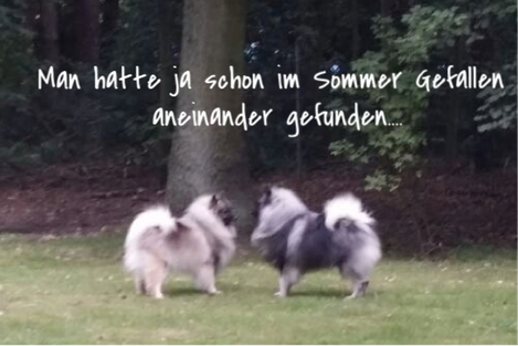 Babette und Milo
