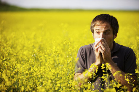 Desensibilisierung hat nichts gebracht, alles gegen Allergie schon probiert